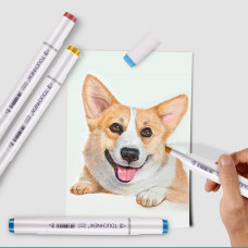 TOUCHNEW T6 rotuladores diseño de animación 30 colores para dibujos de arte adultos con bolsa de transporte TOUCHNEW T6 rotuladores diseño de animación 30 colores para dibujos de arte adultos con bolsa de transporte